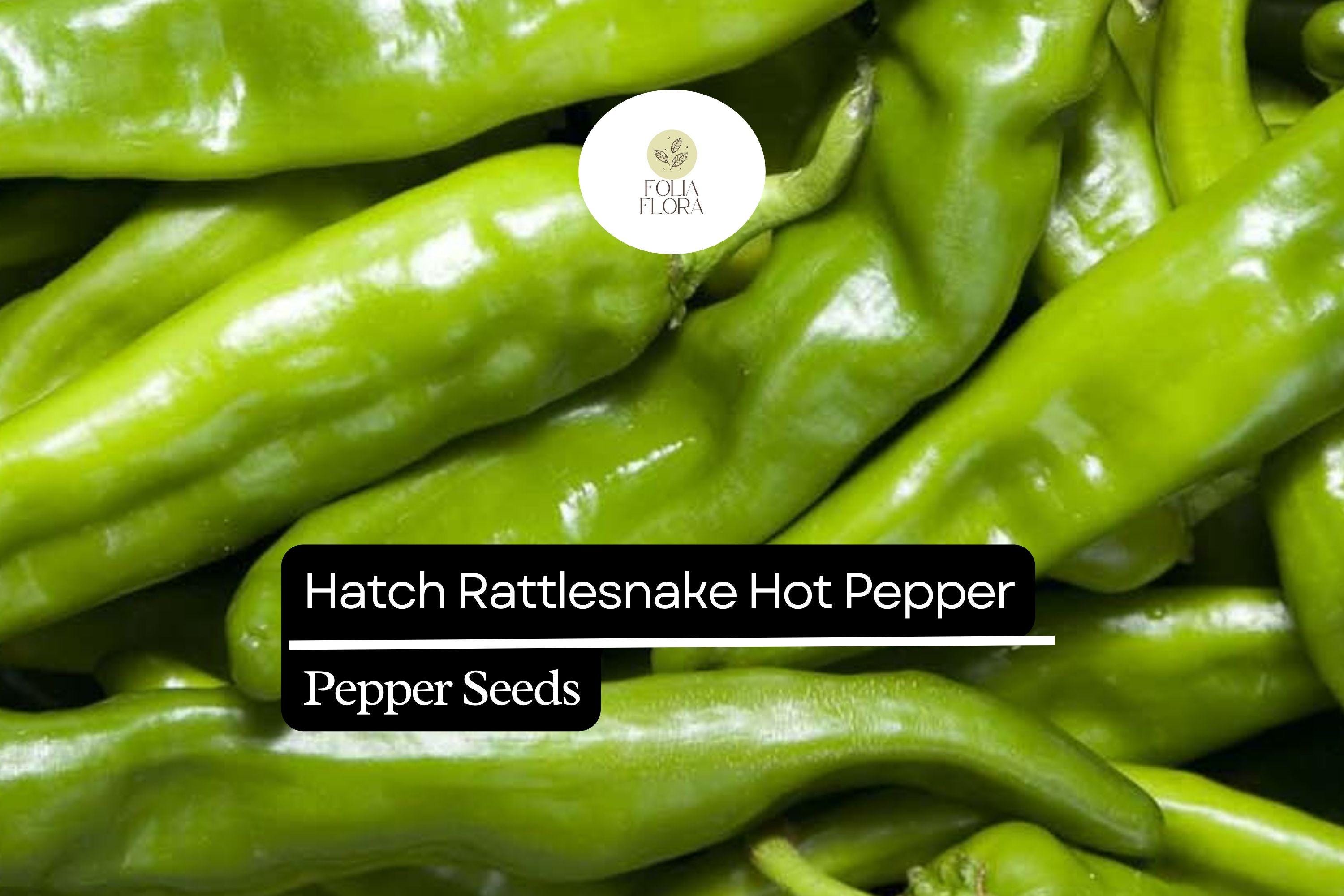 25 Hatch Rattlesnake Pepper Seeds – Heirloom, Spicy & Smoky Capsicum annuum for Roasting, Grilling & Salsas