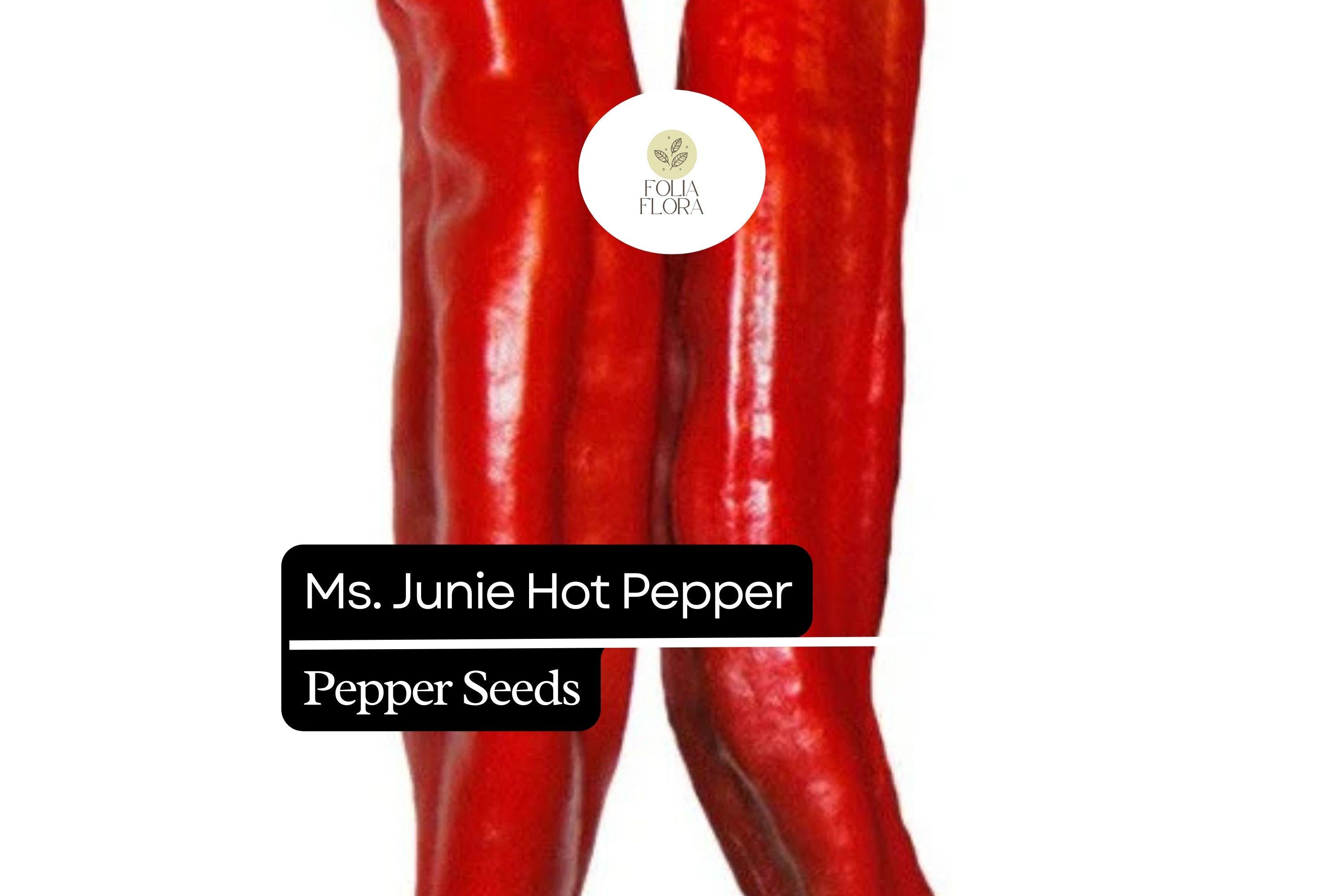 25 Ms. Junie Hatch Chili Pepper Seeds – Mild Spicy, Heirloom, 6-8 Inch Fruits, Capsicum annuum