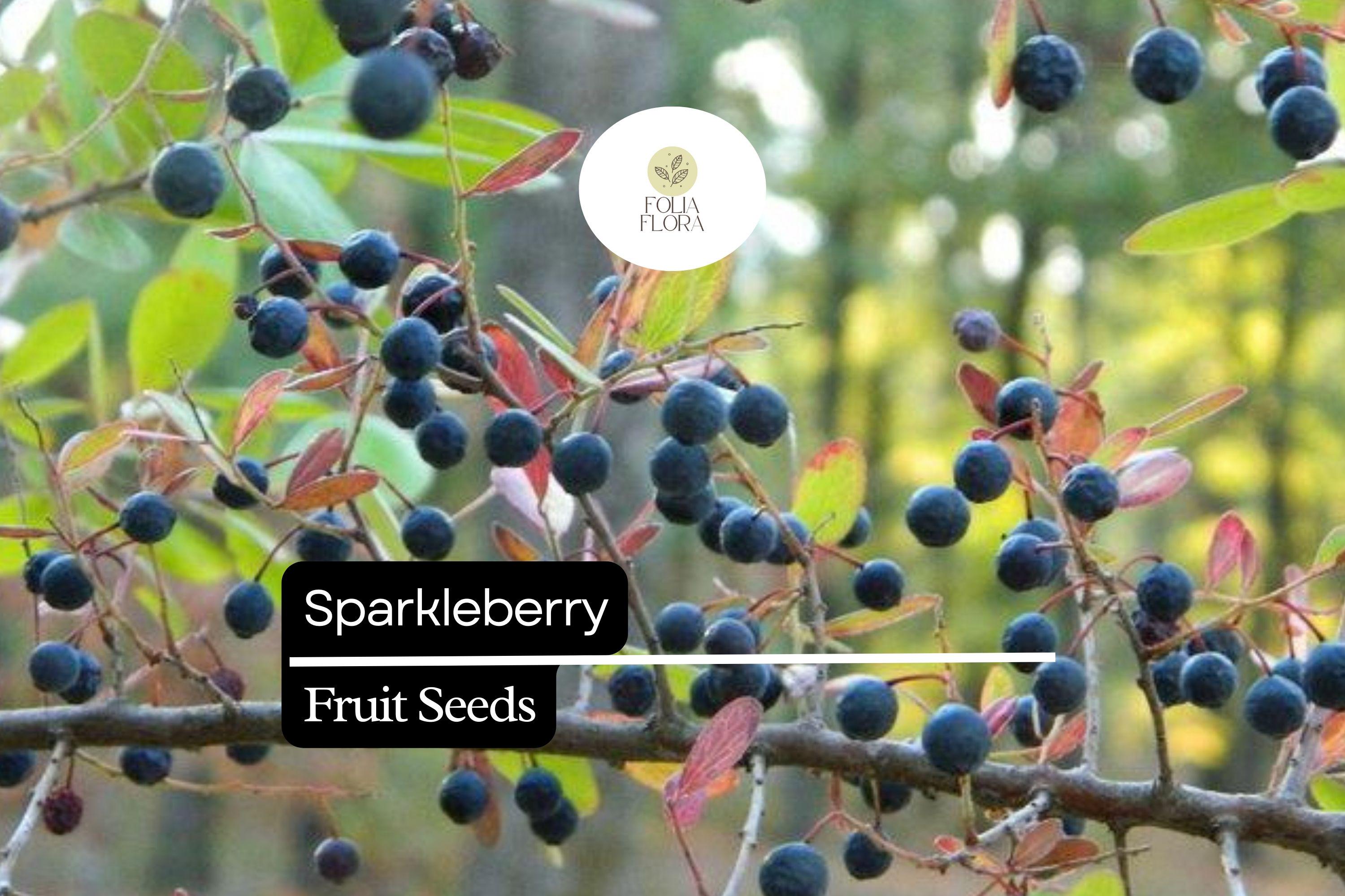 Sparkleberry Seeds 25+ | Vaccinium arboreum | Native Farkleberry Huckleberry for Wildlife Gardens