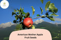 American Mother Apple Seeds – Heirloom Dessert Variety, Malus domestica, Red Fruit, Full Sun, 25+ Seeds