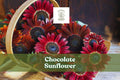 Chocolate Sunflower Seeds - Dark Red Helianthus annuus for Pollinators, Cut Flowers & Borders