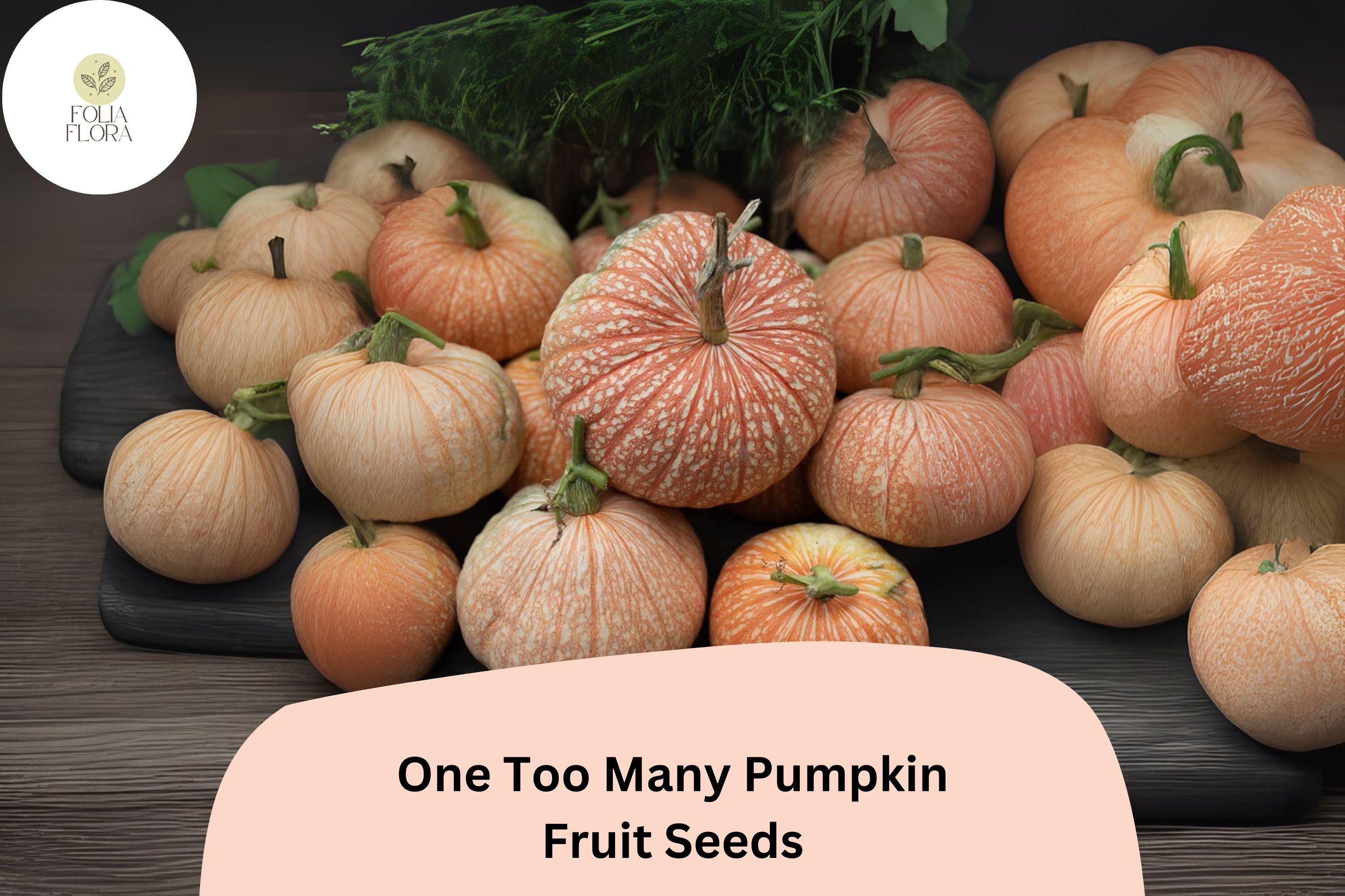 One Too Many Pumpkin Seeds | Heirloom Red Striped Cucurbita maxima | Edible & Decorative Pumpkin Seeds, 25+ Seeds