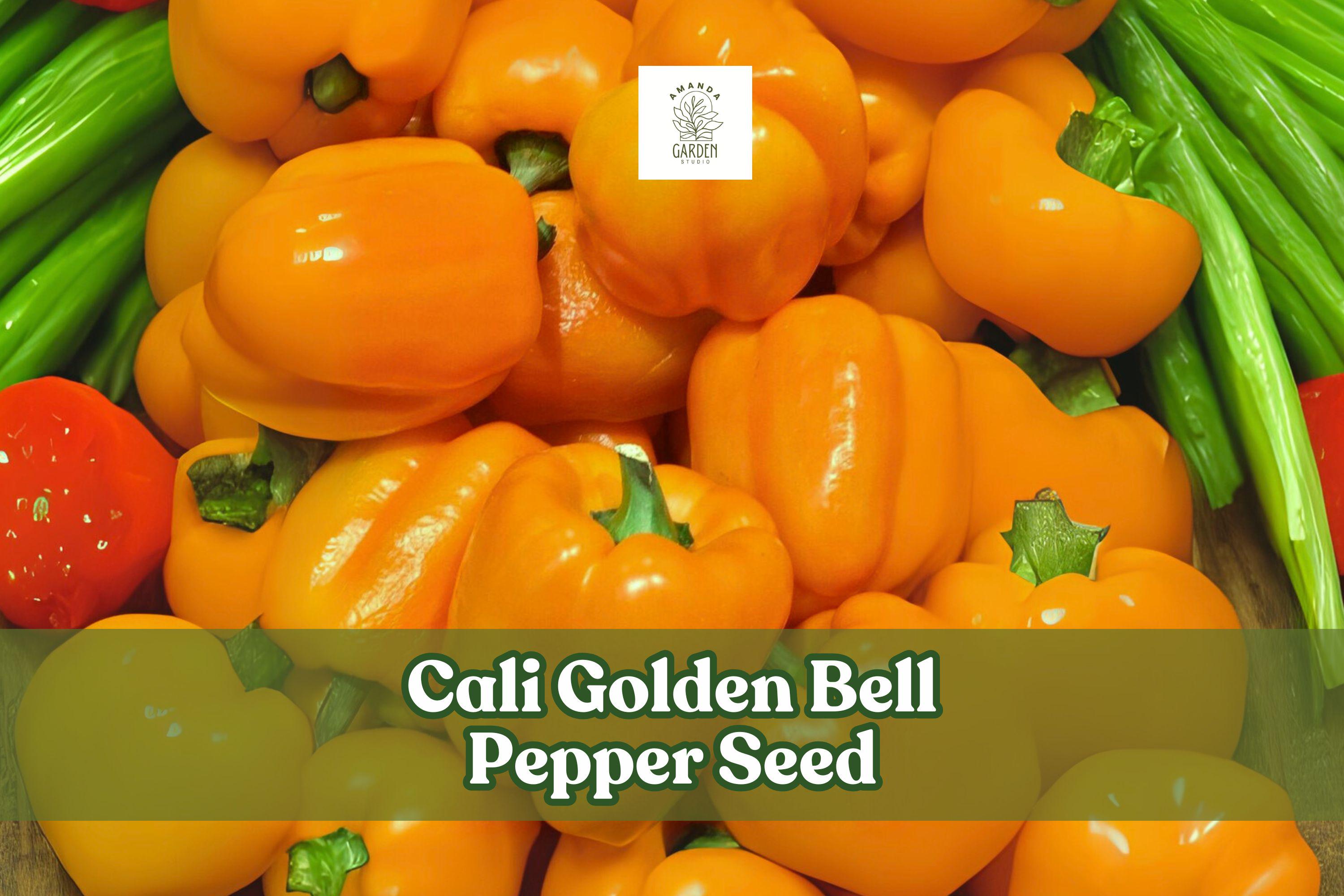 100 Cali Golden Bell Pepper Seeds – Sweet Yellow Heirloom Capsicum annuum, Large Bright Fruits, Non-GMO Vegetable Seeds