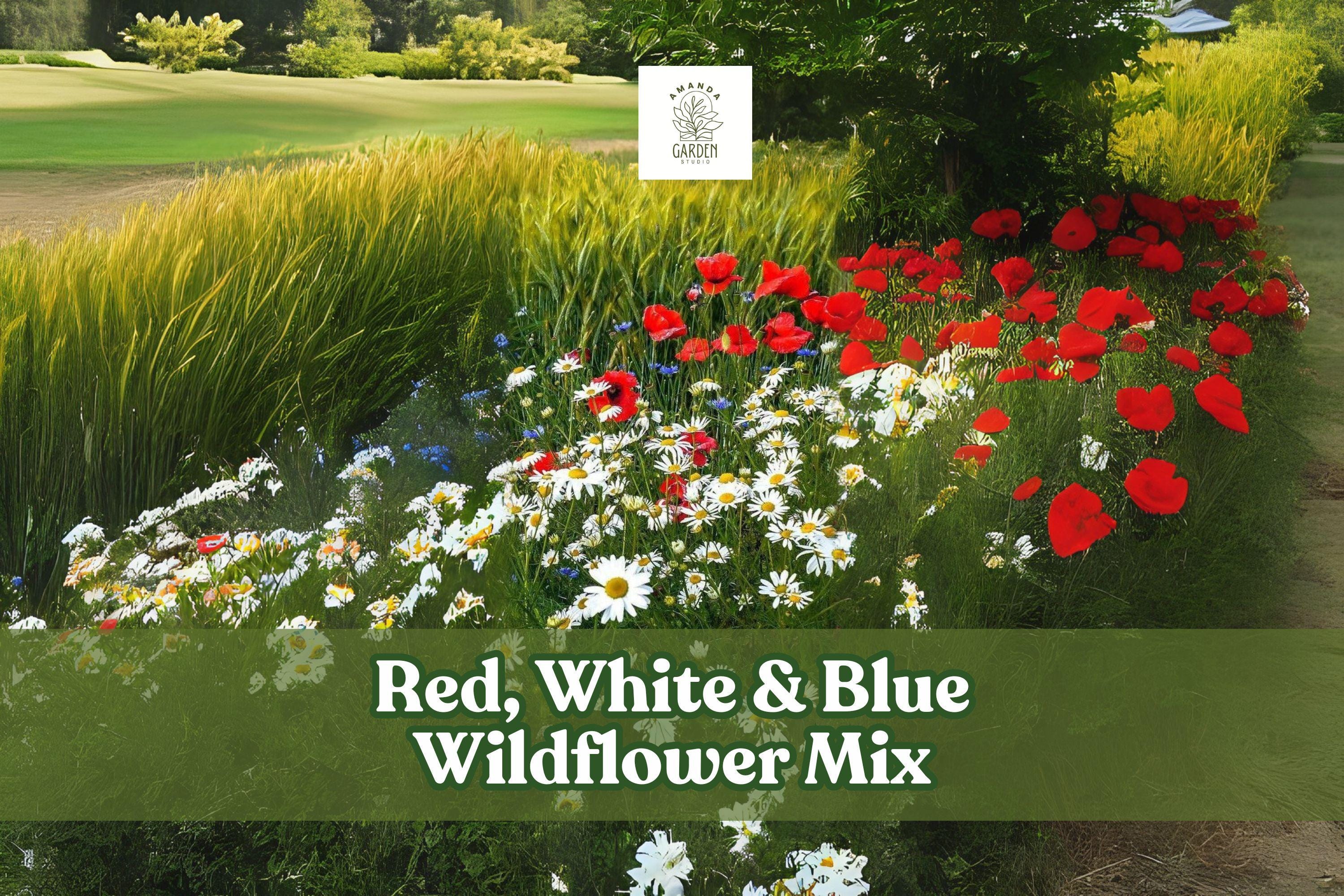 Red, White & Blue Wildflower Seed Mix – Patriotic Garden Blend for Pollinators – 200 Seeds, Annual & Perennial, Full Sun
