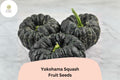 Yokohama Squash Seeds | Rare Japanese Heirloom Winter Squash with Orange Flesh | Cucurbita moschata
