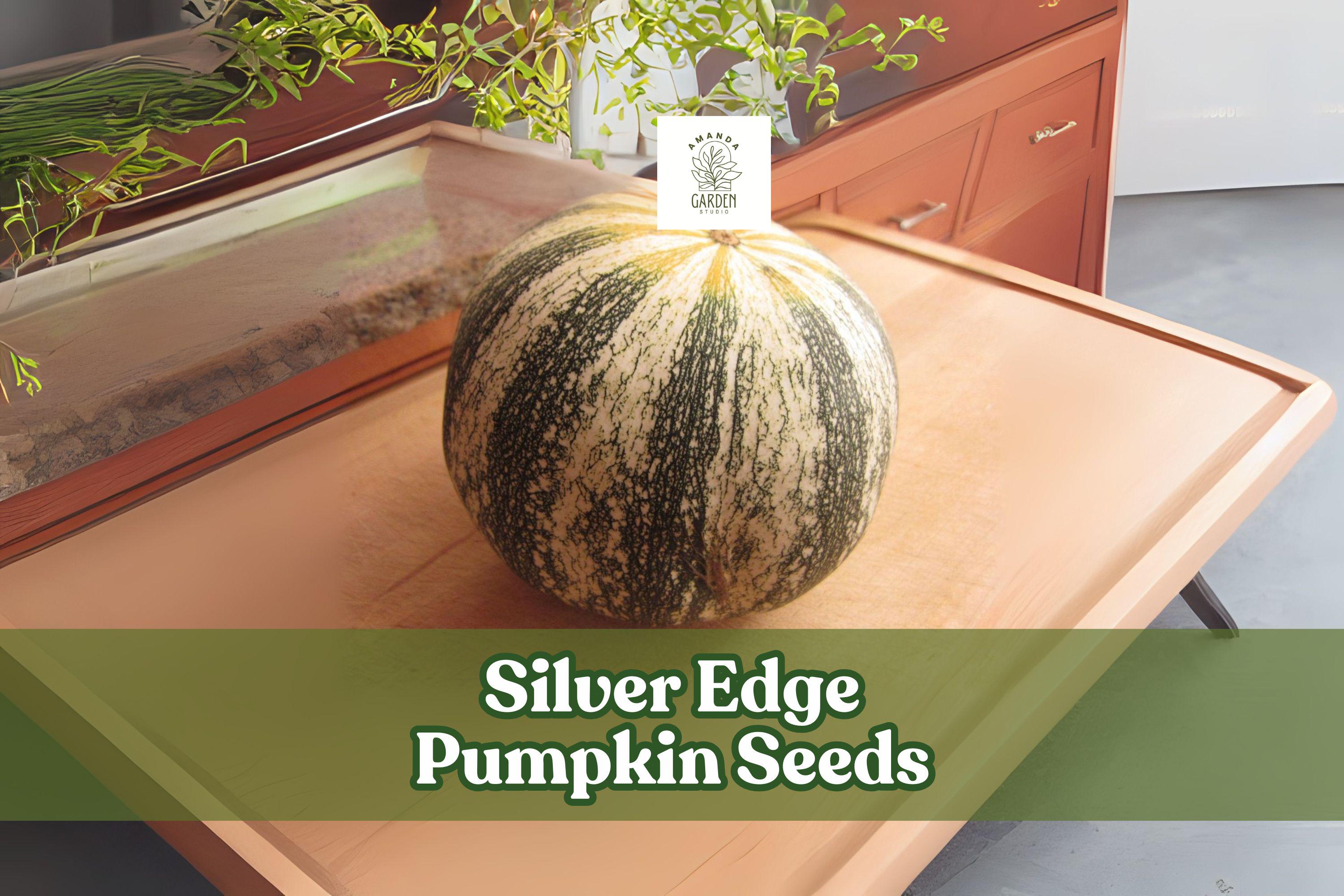 Silver Edge Pumpkin Seeds – Striped Heirloom Squash, Edible Seeds, Non-GMO, Cucurbita pepo var. argyrosperma