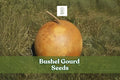 10 Bushel Gourd Seeds – Lagenaria siceraria Giant Round Ornamental Gourds for Crafts & Decoration