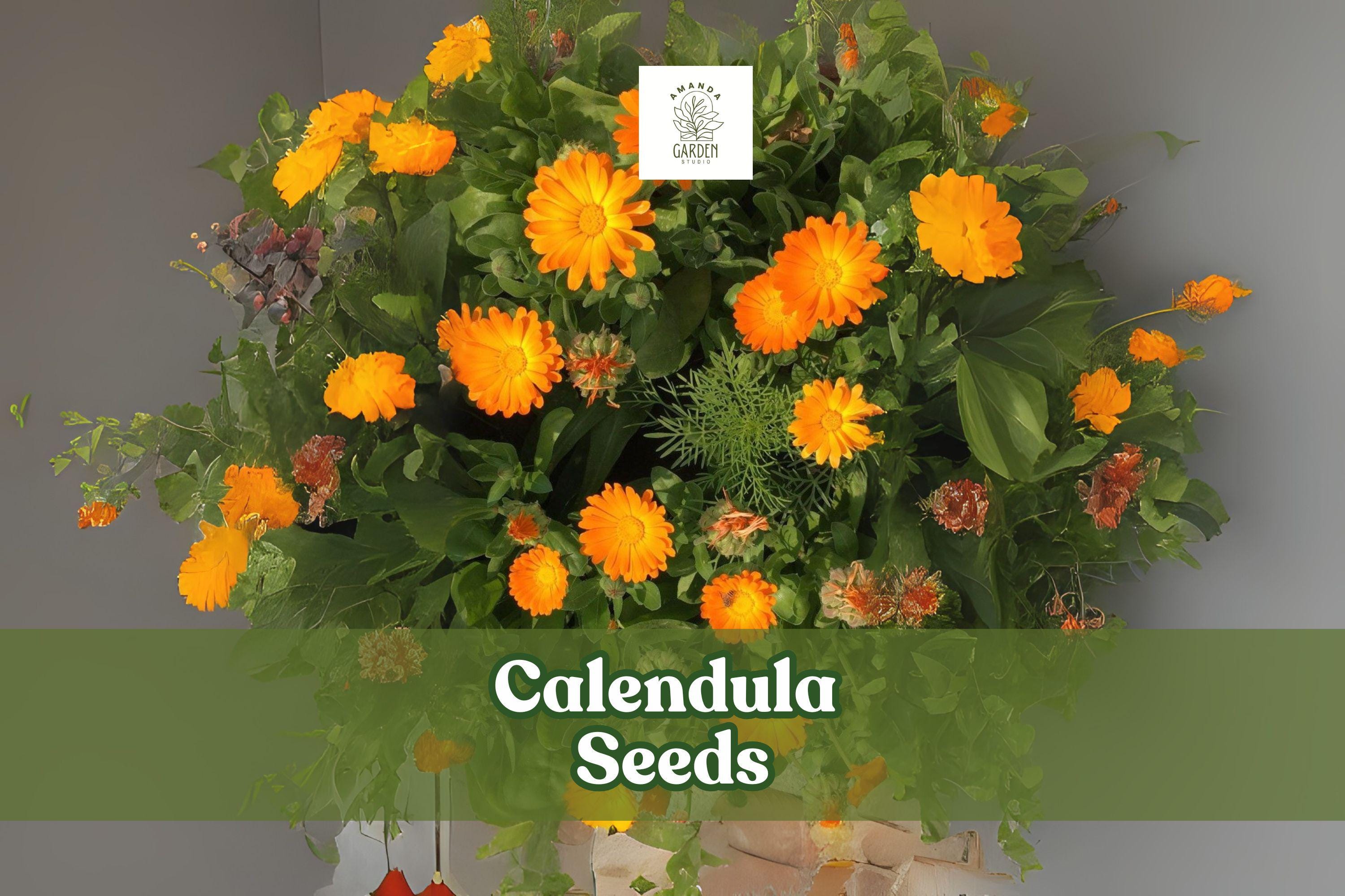 250 Calendula Seeds – Pacific Beauty Mix, Ornamental Flower Seeds for Gardens & Containers, Calendula officinalis, Made in USA