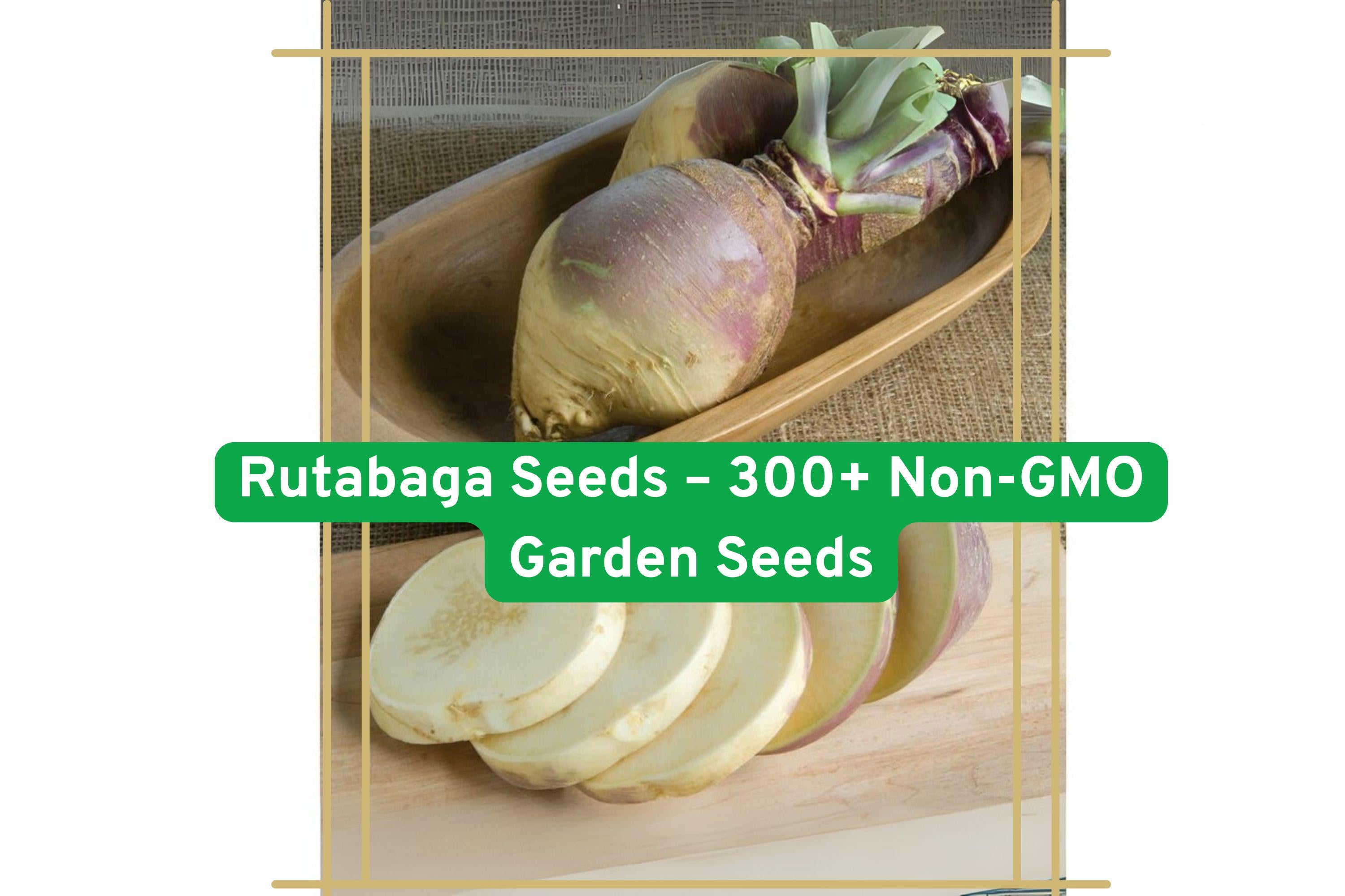 300+ Non-GMO Rutabaga Seeds Purple Top Brassica napus Var. napobrassica for Roasting, Mashing & Soups