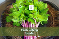 Pink Celery Seeds – Non-GMO Heirloom Apium graveolens for Vegetable Garden, Container Planting
