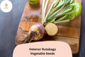 Helenor Rutabaga Seeds – Heirloom Brassica napobrassica Root Vegetable for Fall Garden Planting, 500+ Non-GMO Seeds