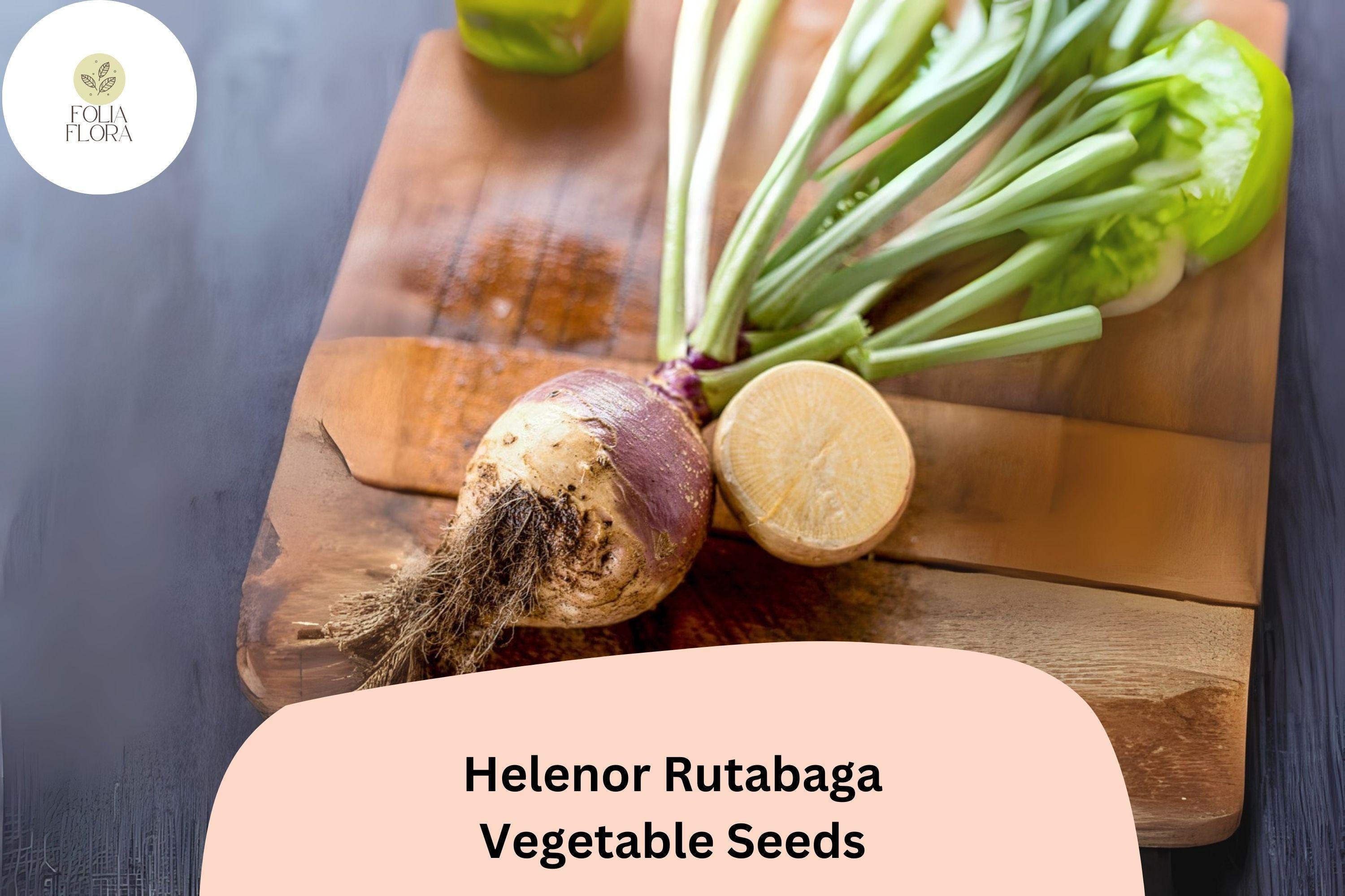 Helenor Rutabaga Seeds – Heirloom Brassica napobrassica Root Vegetable for Fall Garden Planting, 500+ Non-GMO Seeds