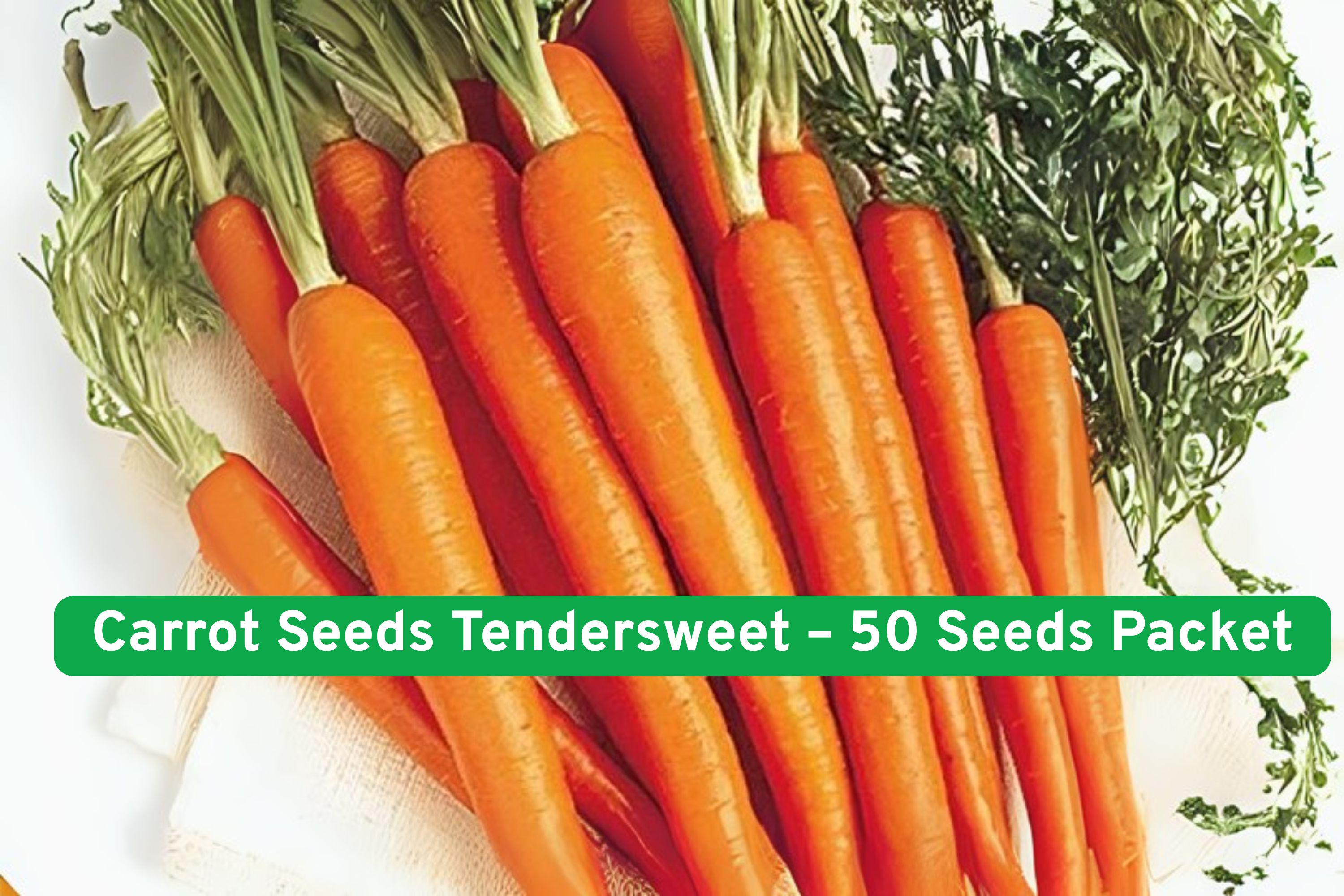 Tendersweet Carrot Seeds – 50 Non-GMO Daucus carota subsp. sativus for Home Garden, Raised Beds, Fresh Eating, Juicing