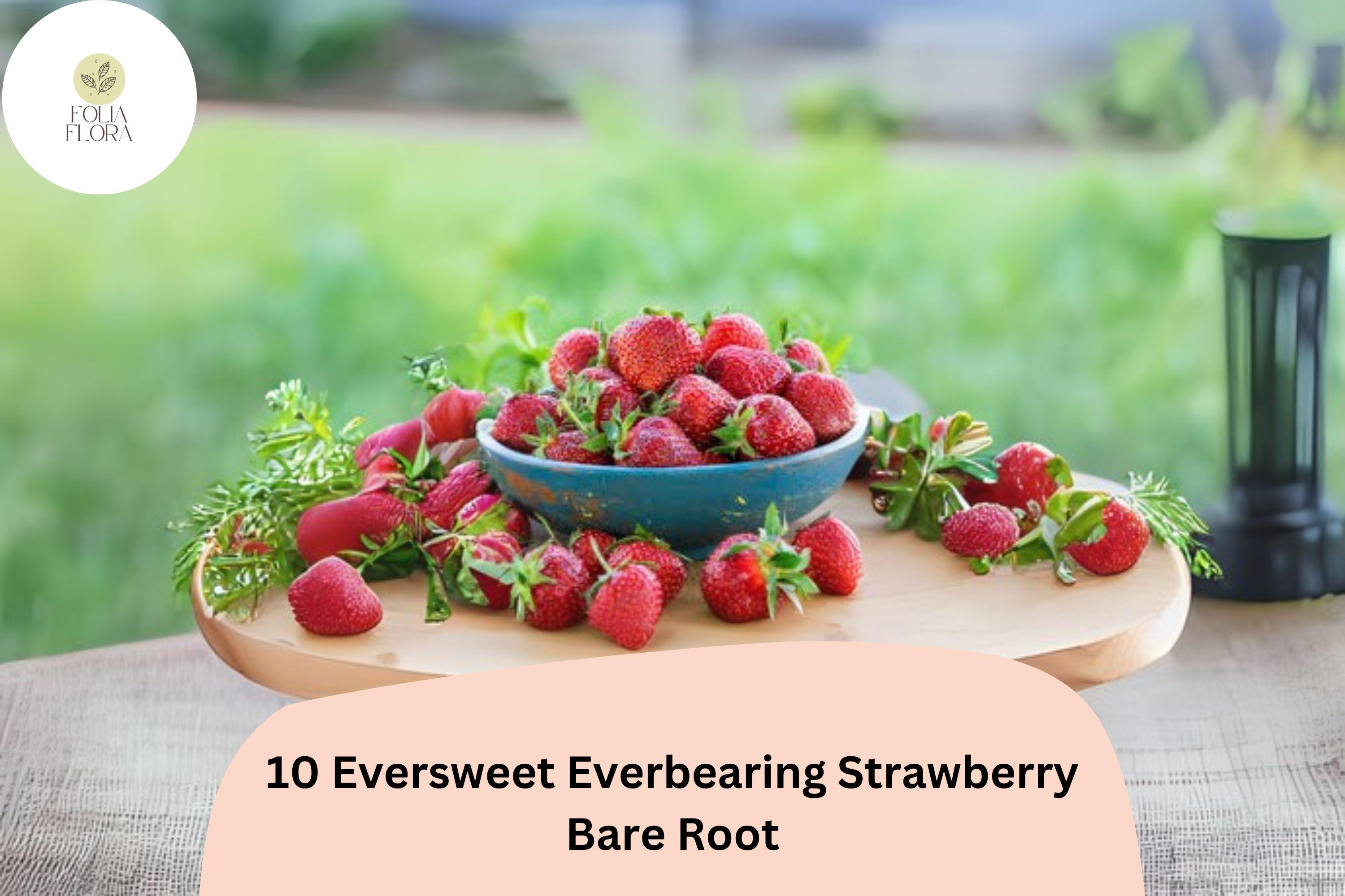 Eversweet Strawberry Plants | Live Bare Root | Everbearing Fragaria × ananassa | Garden Fruit, Perennial, Red Berries