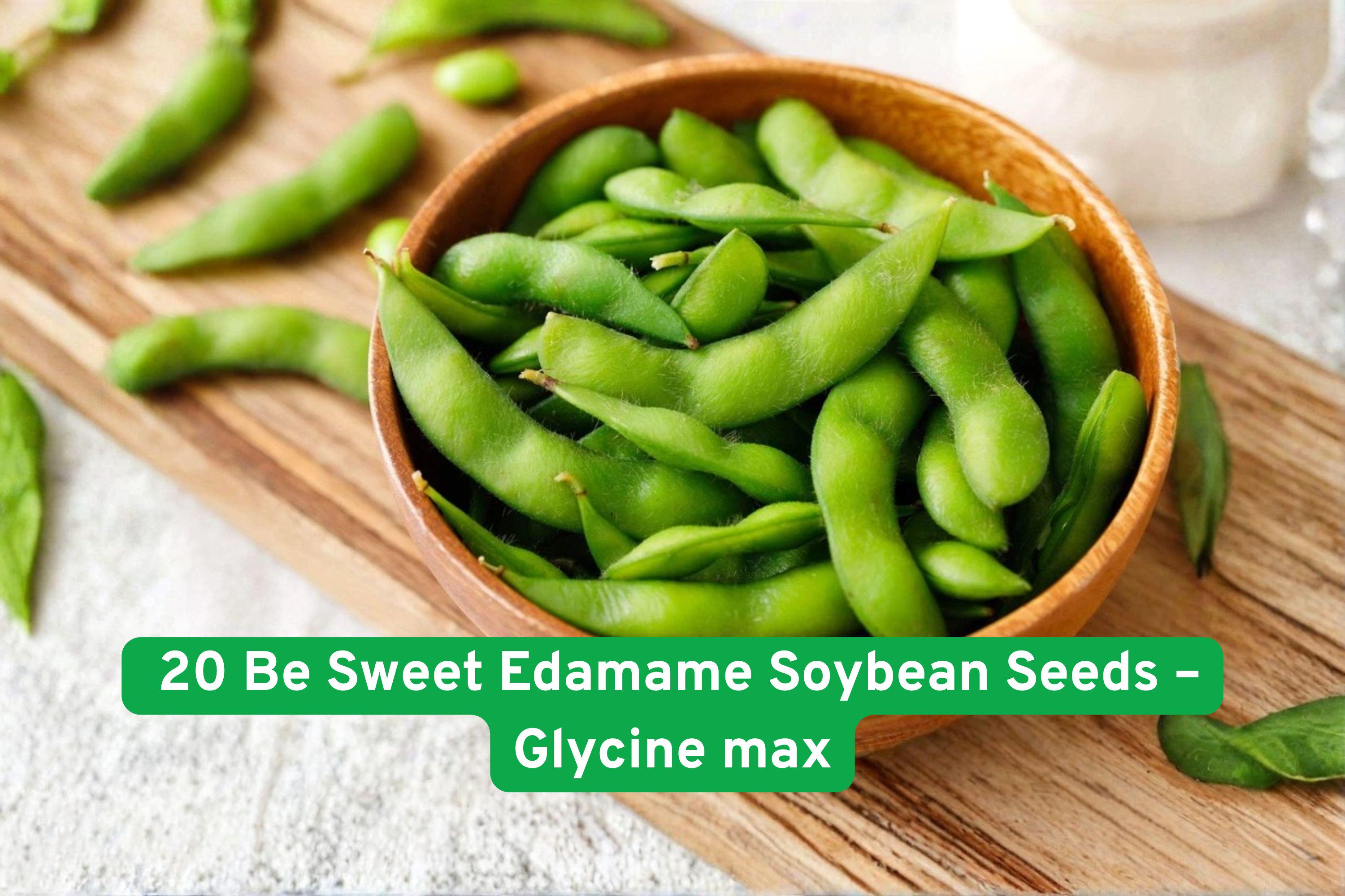 20 Be Sweet Edamame Seeds, Early High-Yield Soybean Glycine max, Compact Vegetable for Home Gardens, Edamame & Dried Beans