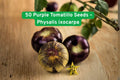 Heirloom Purple Tomatillo Seeds | Sweet Flavor | Physalis ixocarpa | 50 Seeds for Salsa & Garden Growth