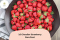 Chandler Strawberry Plants | Live Bare Root | June Bearing, Large Red Berries, Fragaria × ananassa