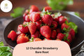 12 Chandler Strawberry Plants - Live Bare Root June-Bearing Fragaria × ananassa Fruit for Garden, Container, or Bed