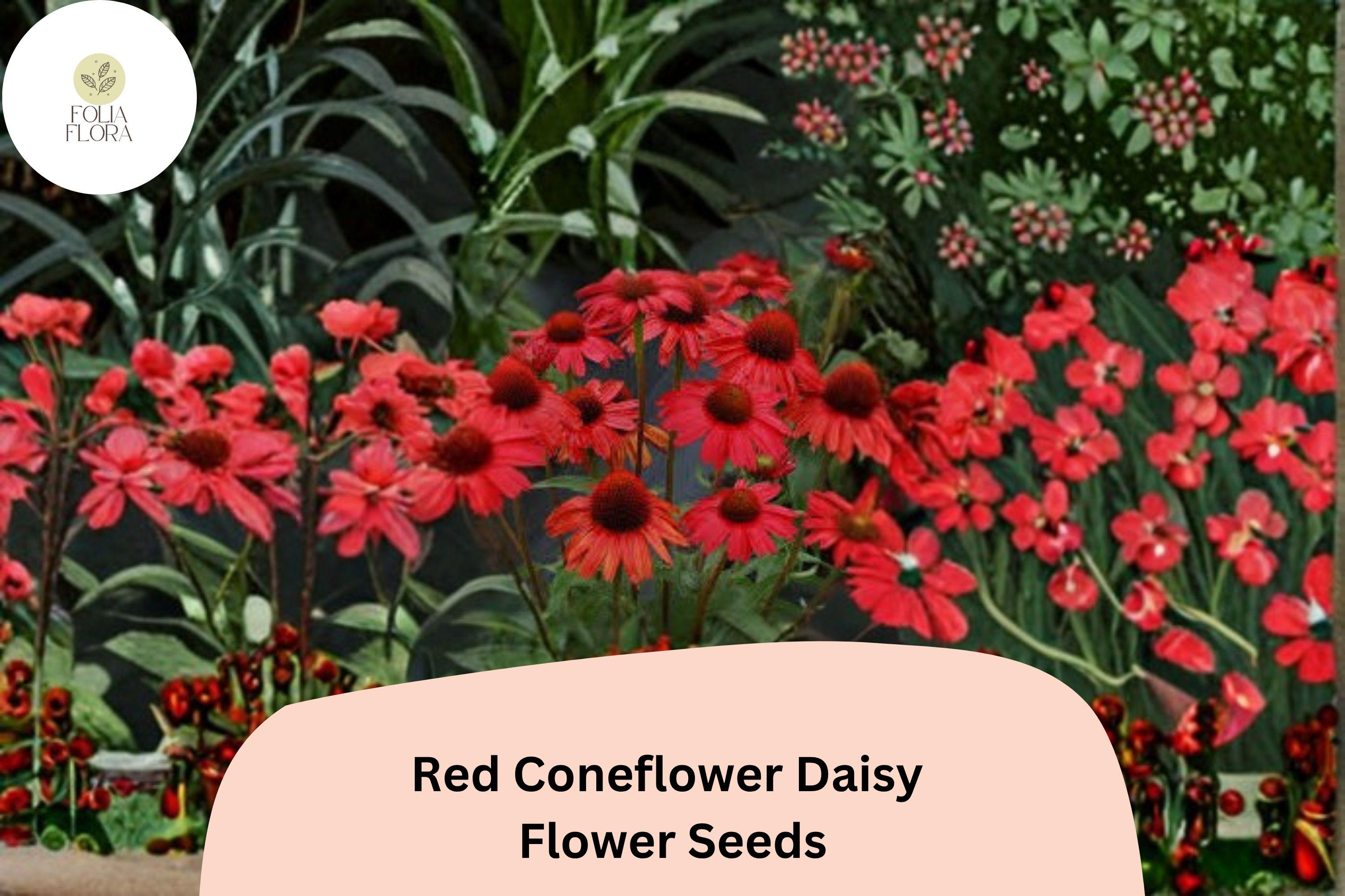 200+ Red Coneflower Seeds | Echinacea purpurea | Vibrant Red Blooms | Pollinator-Friendly Perennial Flower