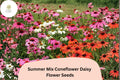 Summer Mix Coneflower Seeds | Echinacea purpurea Perennial with Colorful Pink, White, Orange, Purple Blooms for Garden, Borders & Wildflower Meadows