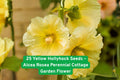 Yellow Hollyhock Seeds - Cottage Garden Flower, Alcea rosea, Bright Yellow Blooms, Attracts Pollinators, Easy to Grow, Summer-Fall