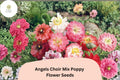 Angels Choir Poppy Seeds | Vibrant Mixed Colors | Papaver Species | Easy to Grow Annual for Garden Beds & Containers
