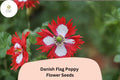 Danish Flag Poppy Seeds 200+ | Red & White Blooms | Papaver somniferum Flower Seeds for Garden, Wildflower & Border Planting