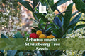 50+ Strawberry Tree Seeds | Arbutus unedo | Non-GMO Evergreen Shrub with Edible Red Fruits | Hardy Garden Plant