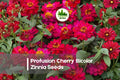 25 Profusion Cherry Bicolor Zinnia Seeds – Bright Pink & White Flowers, Easy to Grow, Attracts Pollinators, Zinnia elegans, Annual Plant