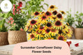 Sunseeker Coneflower Seeds | Echinacea purpurea Yellow Blooms | Perennial Flower Seeds for Garden, Pollinators