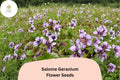 Salome Geranium Seeds | Perennial Cranesbill | White Blooms | Geranium sanguineum ‘Salome’ | Garden Border Plant