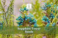 Sapphire Tower Seeds (10) | Puya alpestris Rare Blue Flowering Plant for Rock Gardens & Containers