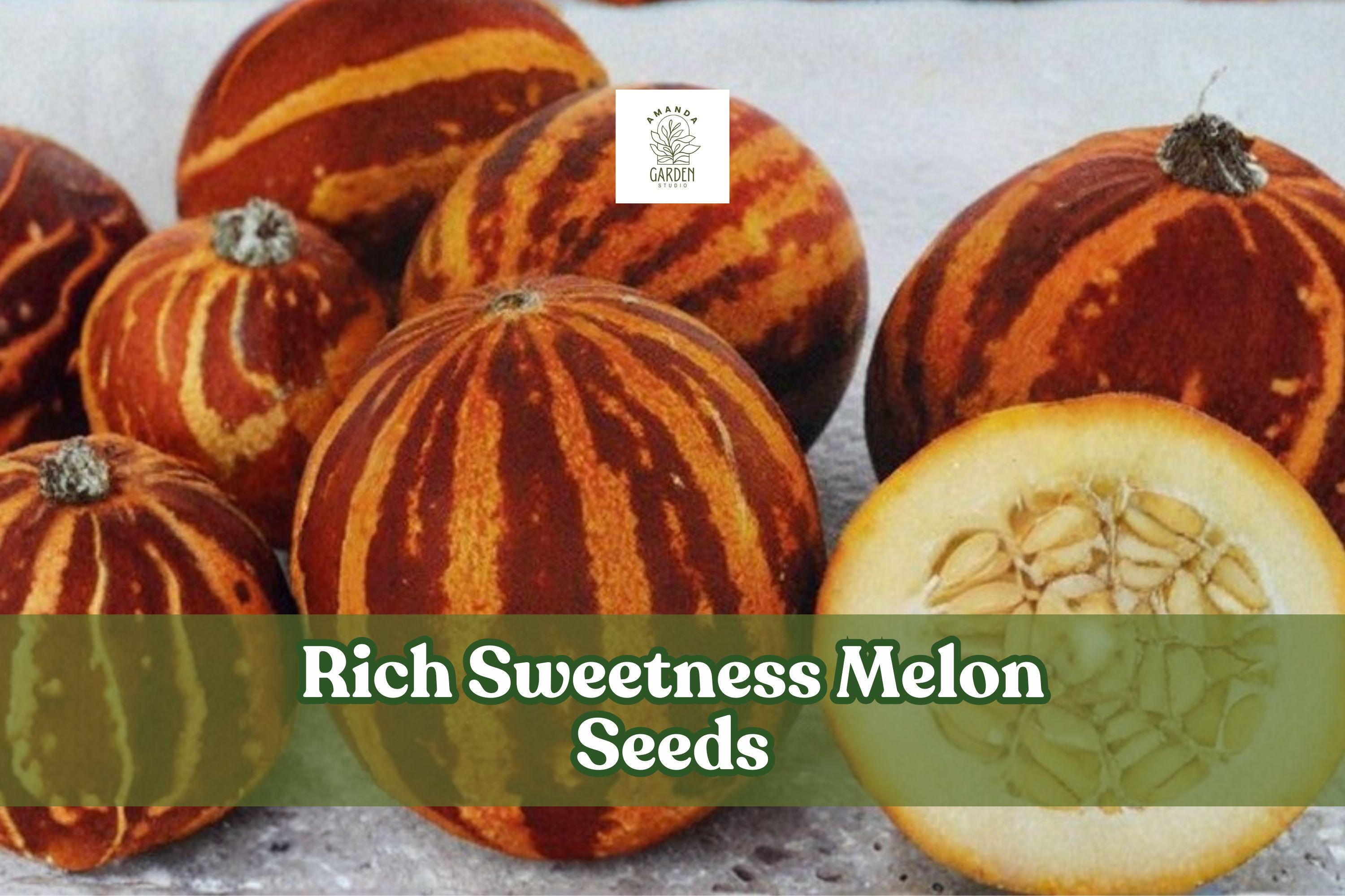 Rich Sweetness Melon Seeds | Heirloom Cucumis melo var. reticulatus | Small Orange-Yellow Fruit | 20 Seeds