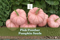Pink Panther Pumpkin Seeds, Cucurbita maxima, Rare Pink Skinned, Edible Flesh, Garden, Ornamental, 10 Seeds