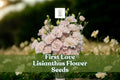 First Love Lisianthus Seeds – Soft Pink Eustoma Grandiflorum Pelleted Seeds for Garden, Vase, Floral Arrangements