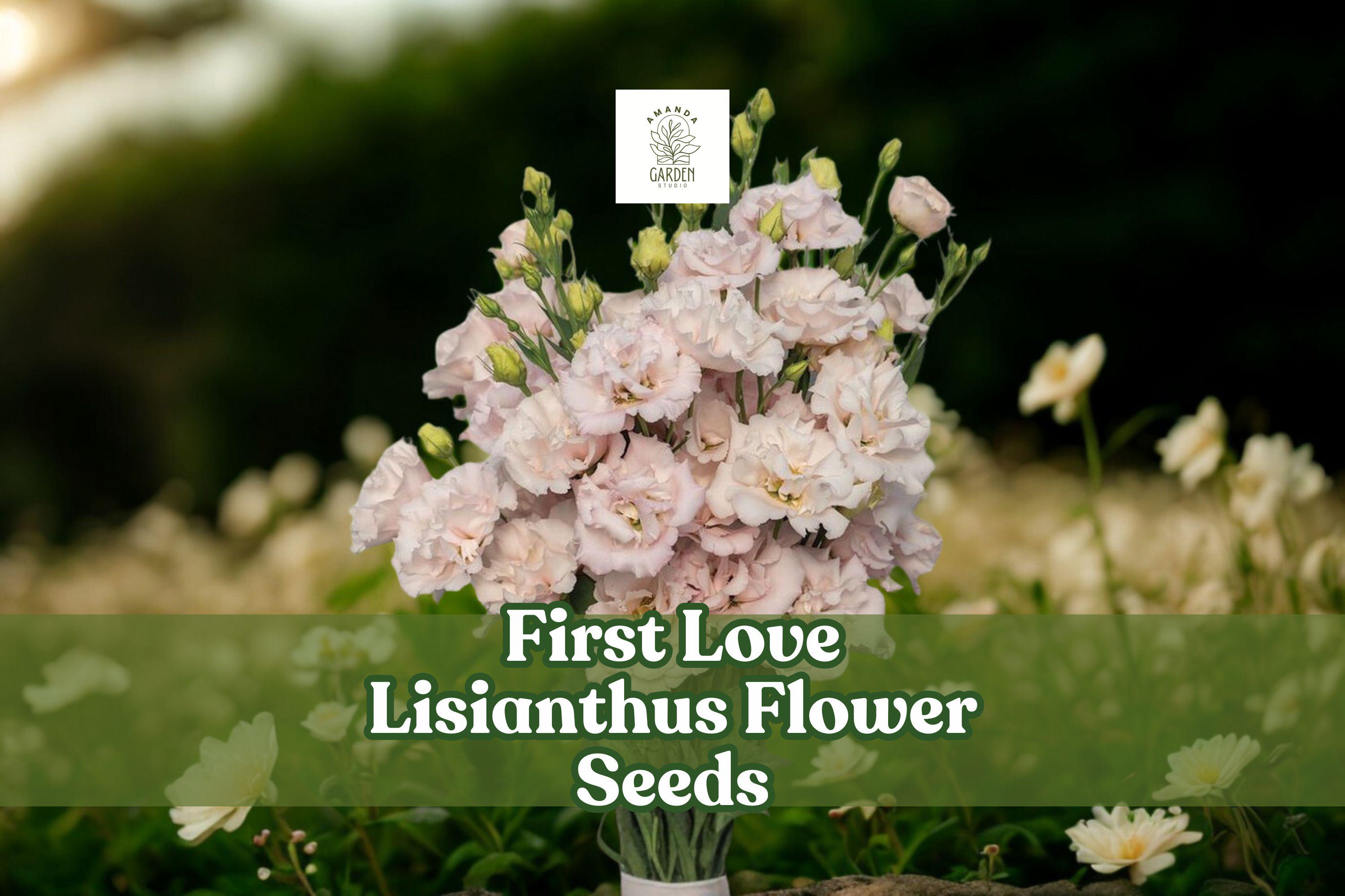First Love Lisianthus Seeds – Soft Pink Eustoma Grandiflorum Pelleted Seeds for Garden, Vase, Floral Arrangements