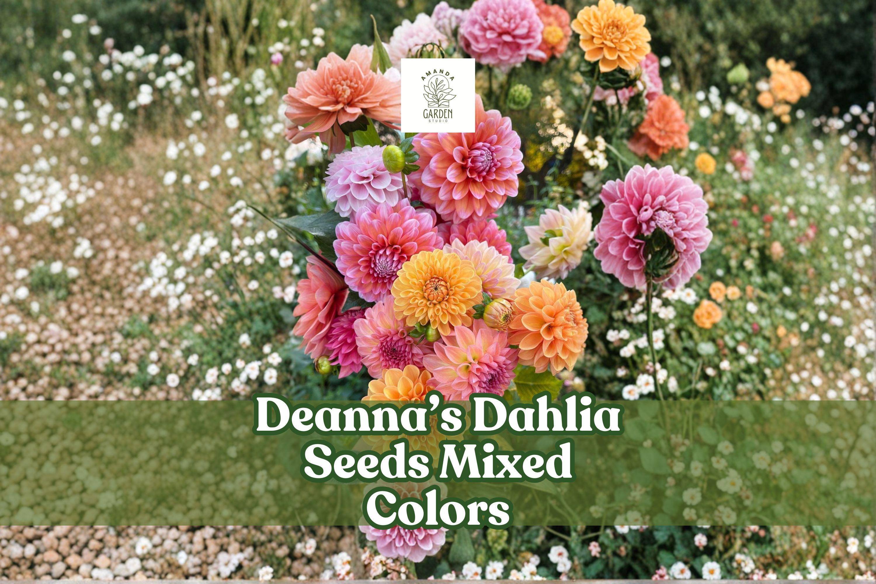 Dahlia Seeds - Deanna’s Exotic Mix, 100+ Non-GMO Heirloom, Vibrant Mixed Colors, Full Sun, Cut Flower Garden