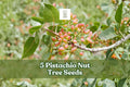 #ERROR!