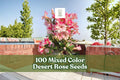 100 Mixed Color Desert Rose Seeds | Adenium obesum Flowering Succulent for Ornamental Gardening