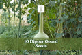 Dipper Gourd Seeds, Climbing Vine, Ornamental & Garden Gourd, Lagenaria siceraria, 10 Seeds
