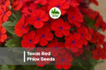 200+ Texas Red Phlox Seeds – Bright Red Blooms, Annual, Phlox drummondii, Pollinator-Friendly, Garden Borders, Wildflower Mix