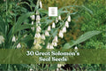 Great Solomon’s Seal Seeds – Native Woodland Perennial, Polygonatum biflorum, Shade Garden, Organic, 30 Seeds