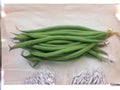 Petite Filet French Bean Seeds | Bush Type, Tender Stringless Pods, Gourmet Green Beans, 50 Seeds