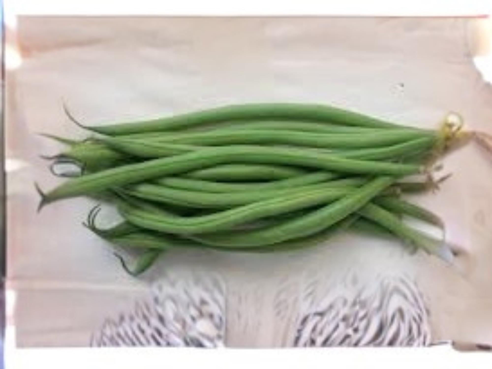 Petite Filet French Bean Seeds | Bush Type, Tender Stringless Pods, Gourmet Green Beans, 50 Seeds