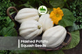 Mashed Potato Squash Seeds, White Heirloom Cucurbita, Gourmet Vegetable, Unique White Squash, Home Garden, 10 Pack