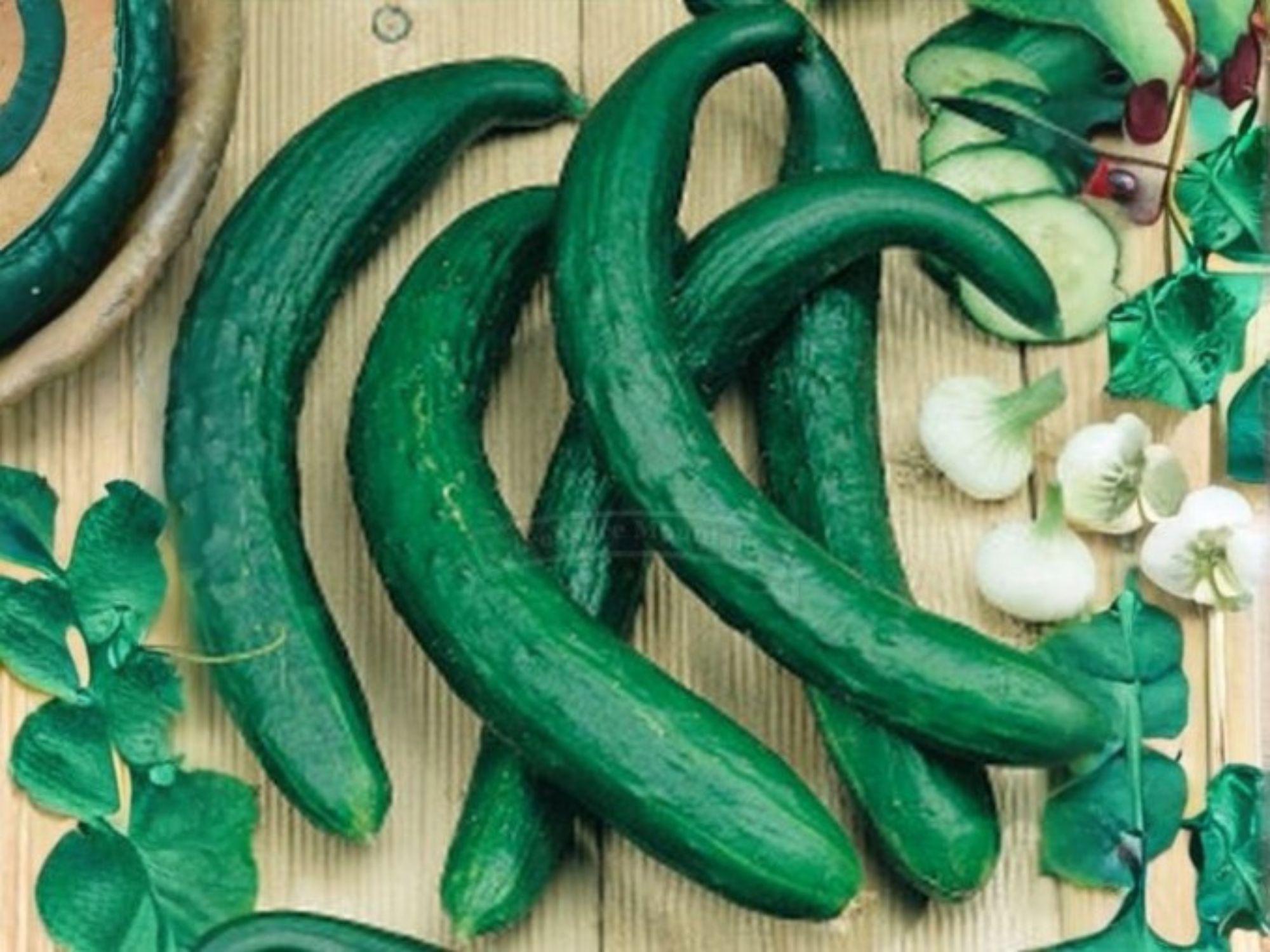 Chinese Snake Cucumber Seeds – 10 Vegetable Seeds, Extra Long Curved Asian Cucumber, Edible Garden, Heirloom, Open-Pollinated