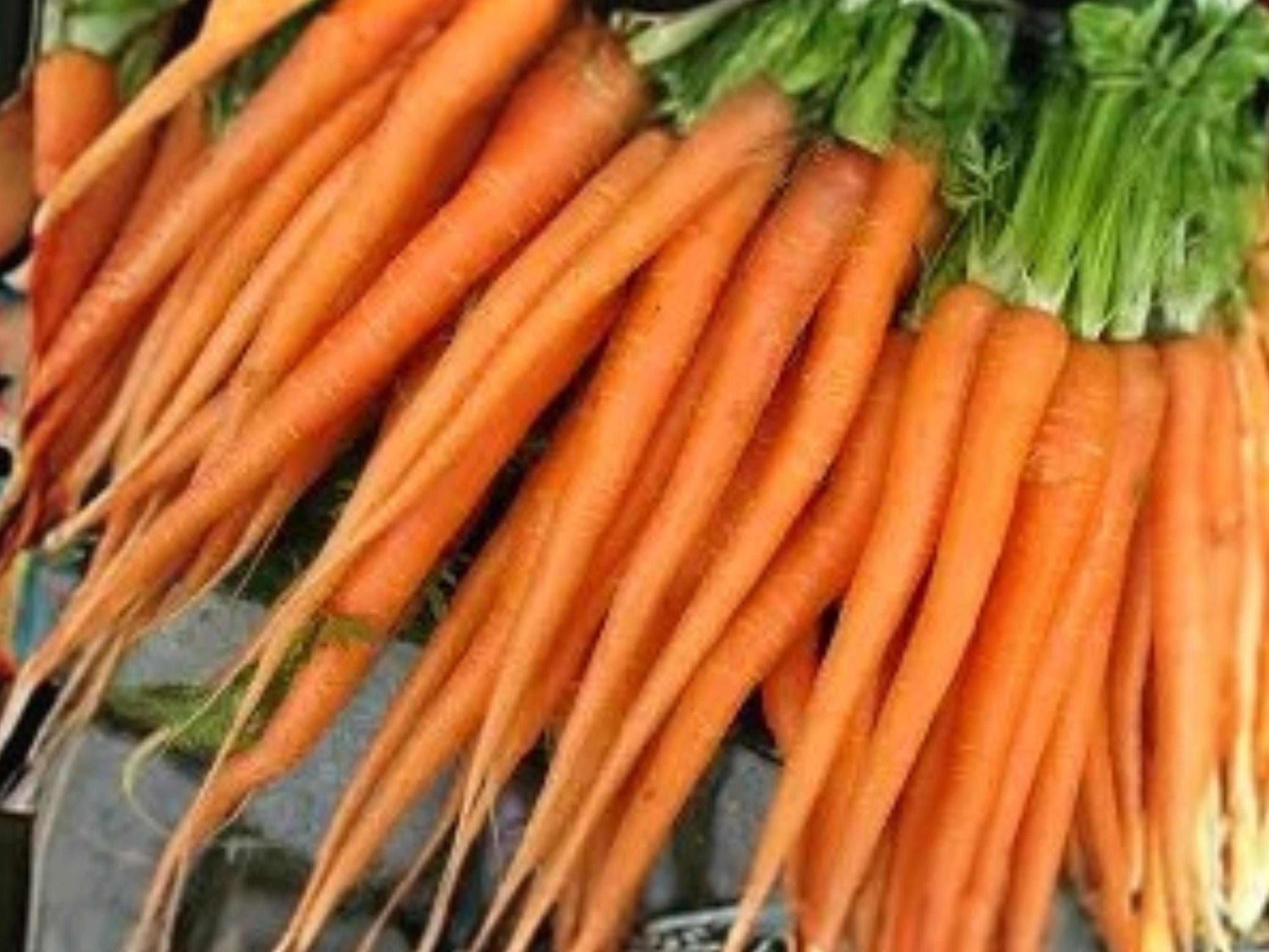 Heirloom Tendersweet Carrot Seeds – Long, Sweet, Juicing & Fresh Eating, 500 Seeds