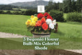 Begonia Flower Bulb Mix - Colorful Shade Garden Blooming Plants - Perennial Tubers for Containers and Beds