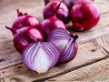 Red Burgundy Onion Seeds – 50 Short-Day Heirloom Red Onion Seeds for Garden, Container, or Bed Cultivation