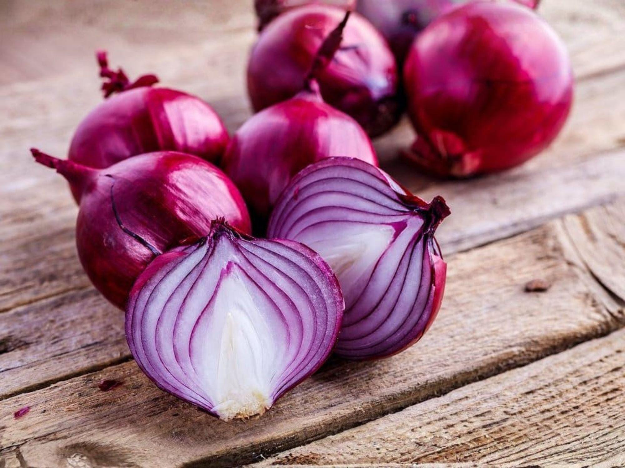 Red Burgundy Onion Seeds – 50 Short-Day Heirloom Red Onion Seeds for Garden, Container, or Bed Cultivation